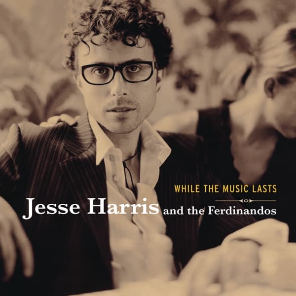 While the Music Lasts by Jesse Harris & The Ferdinandos — album cover