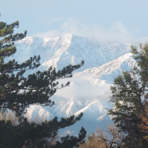 Race to Witch Mountain (Soundtrack) by Various Artists — album cover